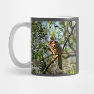 Plain Chachalaca Early Morning Mug